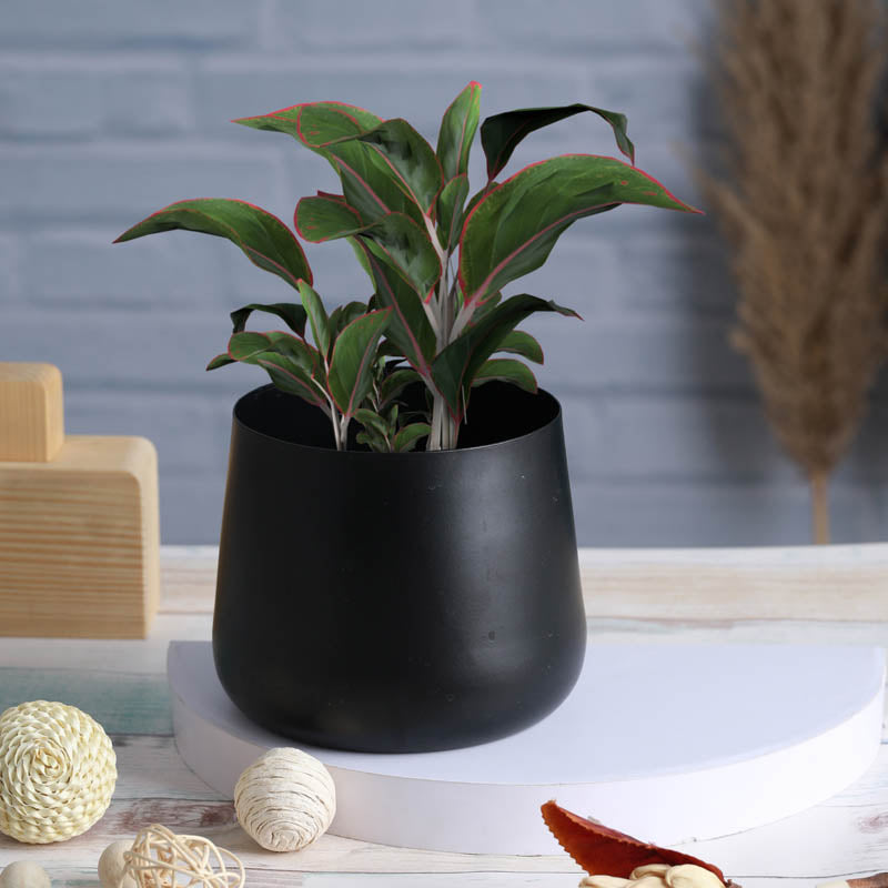 Melva Handcrafted Planter - Black media 5