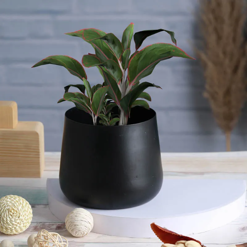Melva Handcrafted Planter - Black media 5