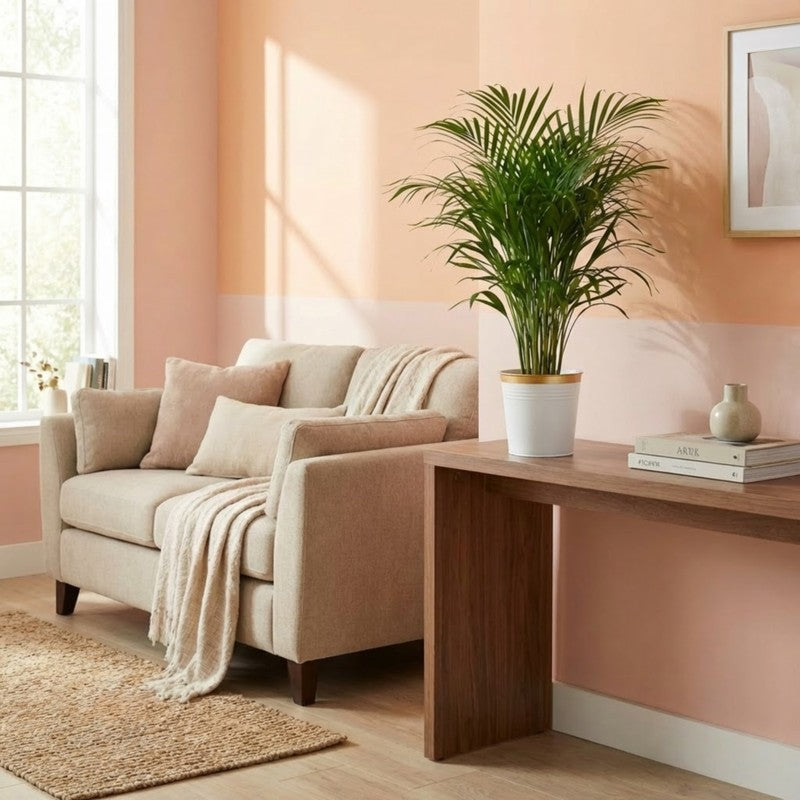 Leafora Iron Planter - White media 9