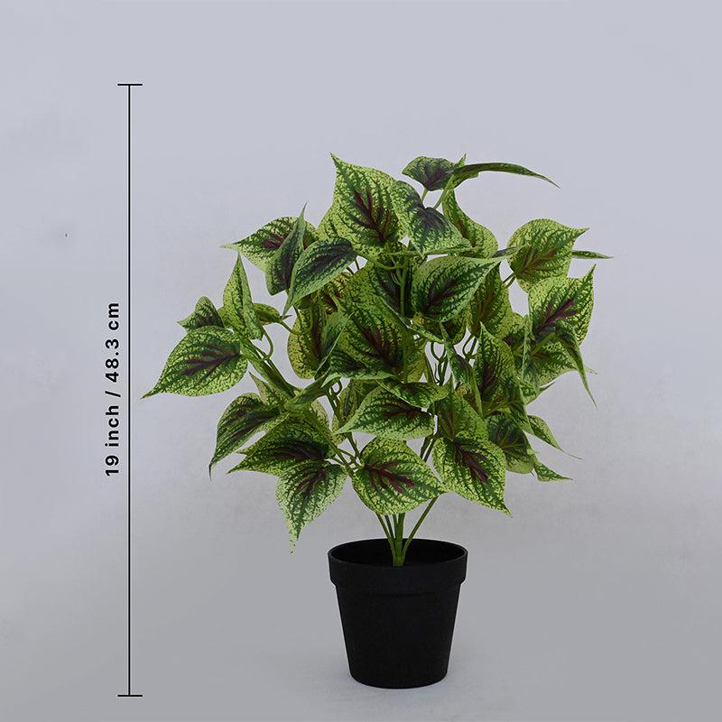Faux Everlasting Dragon Heart Coleus Plant With Black Plastic Pot - 48 cm media 5