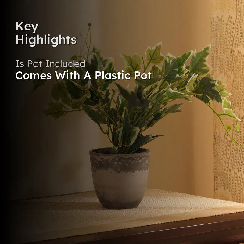 Artificial Green Bush With Plastic Pot media 2
