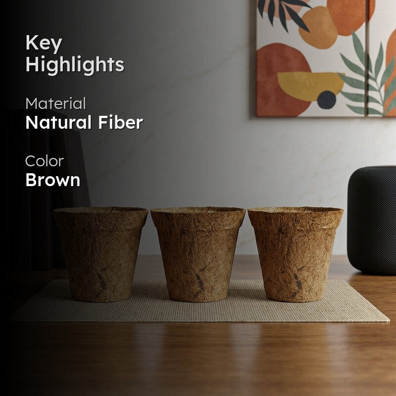 Miriya Coir Pot - Set Of Three media 2