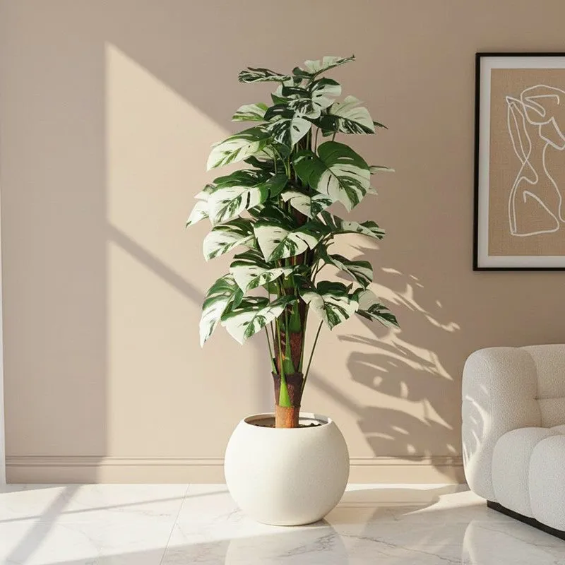 Faux Lush White Monstera Plant With Black Plastic Pot - 4 Feet media 1