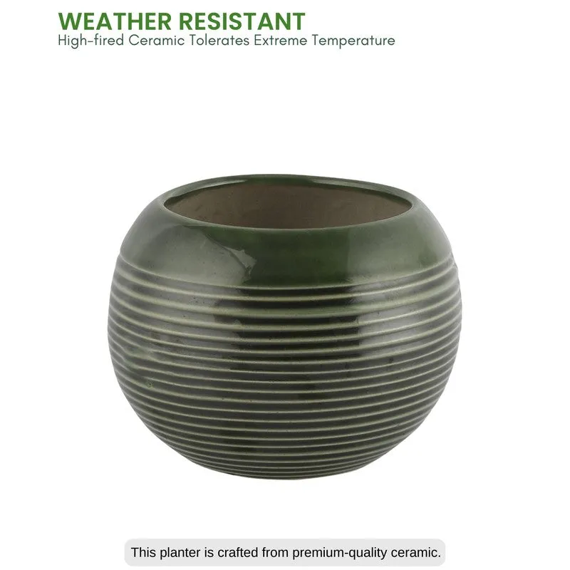 UrbanNest Pots & Planters Green media 4