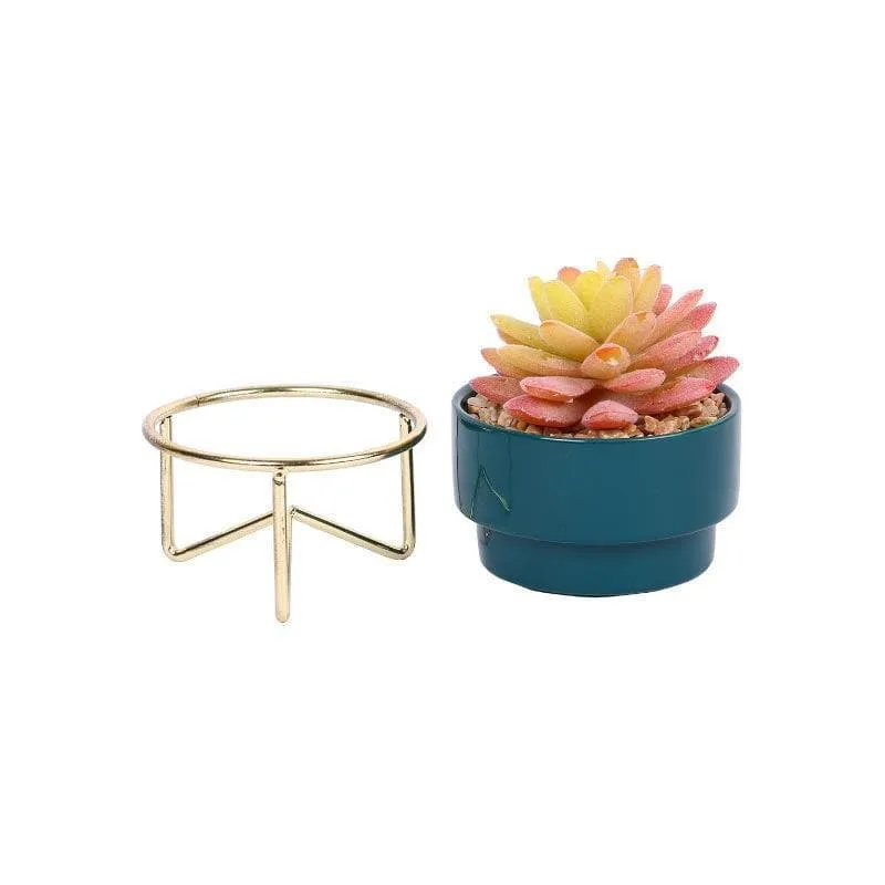 Faux Graptopetalum In Ceramic Pot - 11.5 cms media 3