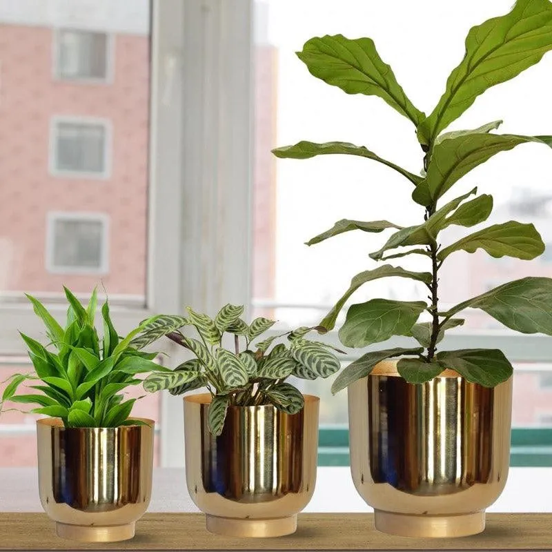 Nishma Golden Planter - Set Of Three media 2