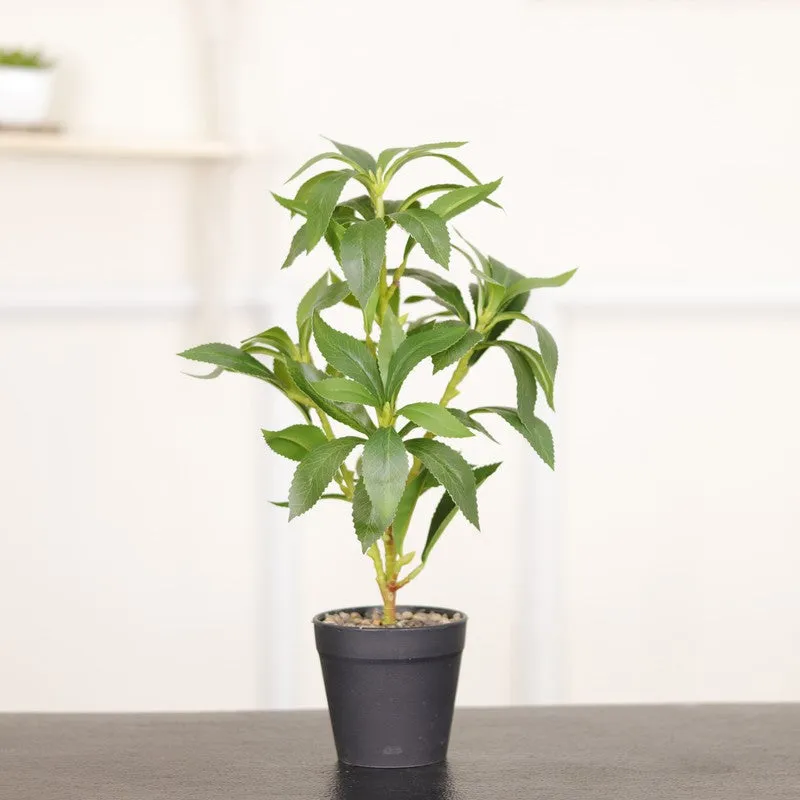 Artificial Indian Lilac Leaf Plant With Black Fiber Pot - 1.3 Feet media 3