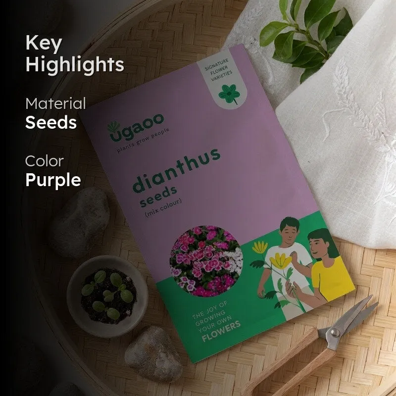 Dianthus seeds packet with highlighted material and colour details