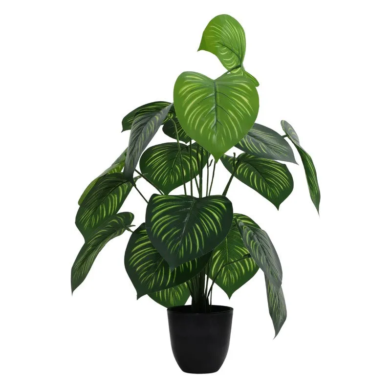 Artificial Money Plant With Black Plastic Pot - 2 ft media 4