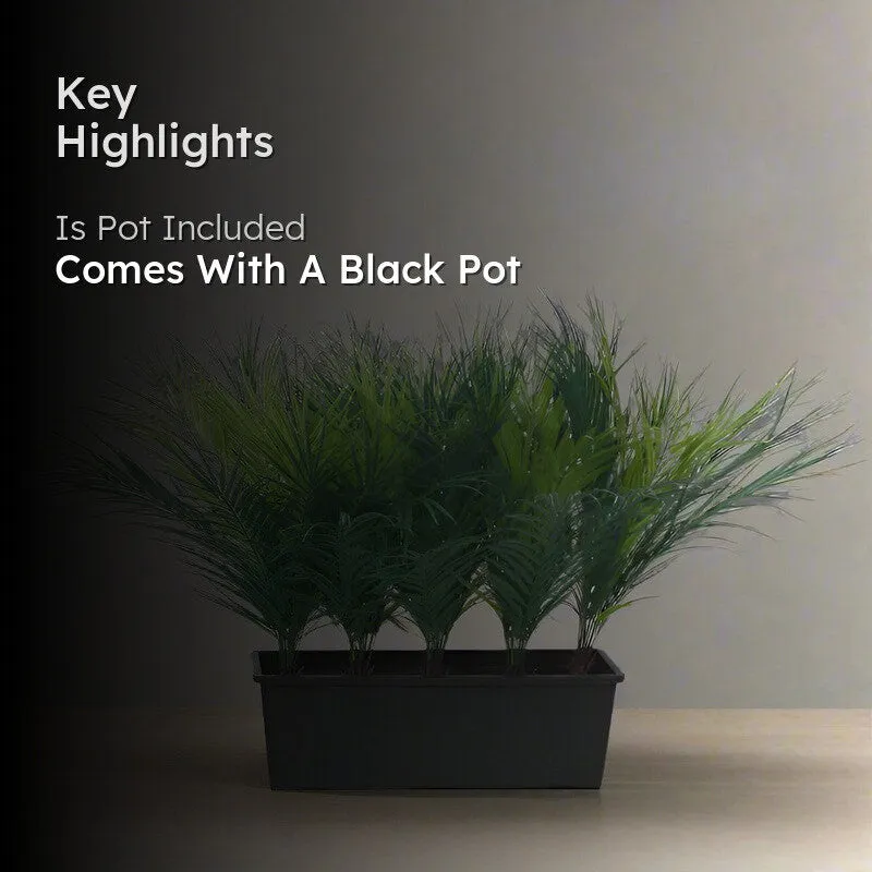 Faux Realtouch Areca Palm Plant With Black Plastic Pot - 1.8 Feet media 2