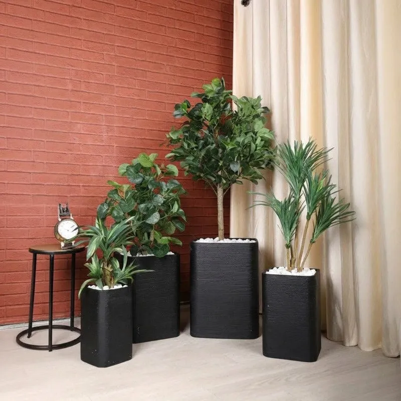 Group of black planters in different sizes with indoor plants