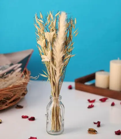 Glass · Dried Flowers & Leaves