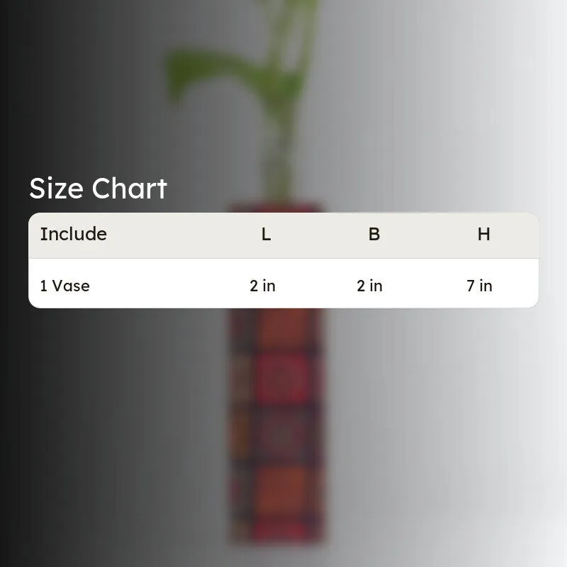 Vira Cork Testube Planter media 5