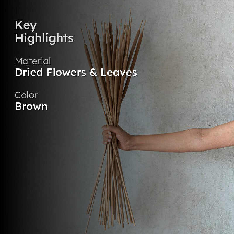 Naturally Dried Reed Spadaix - Set Of Twenty media 2