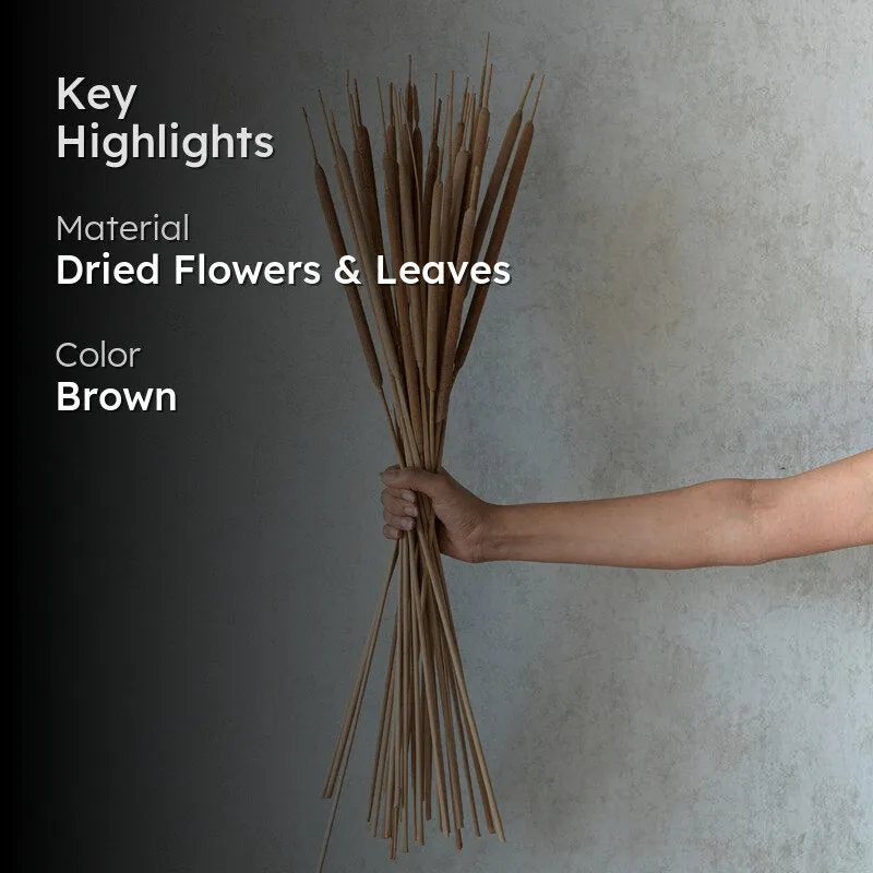 Naturally Dried Reed Spadaix - Set Of Twenty media 2