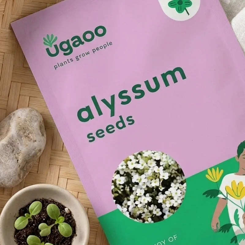 Ugaoo Alyssum Seeds (200 Seeds) media 3