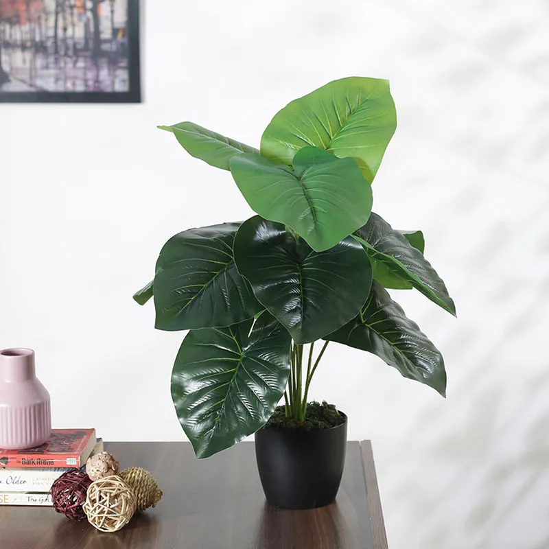 Faux Rubber Silk Plant With Black Plastic Pot - 55 cms media 2