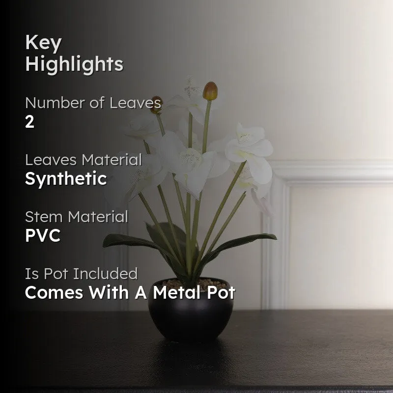 Artificial Orchid Flower Plant With Metal Pot (White) - 1 Feet media 2