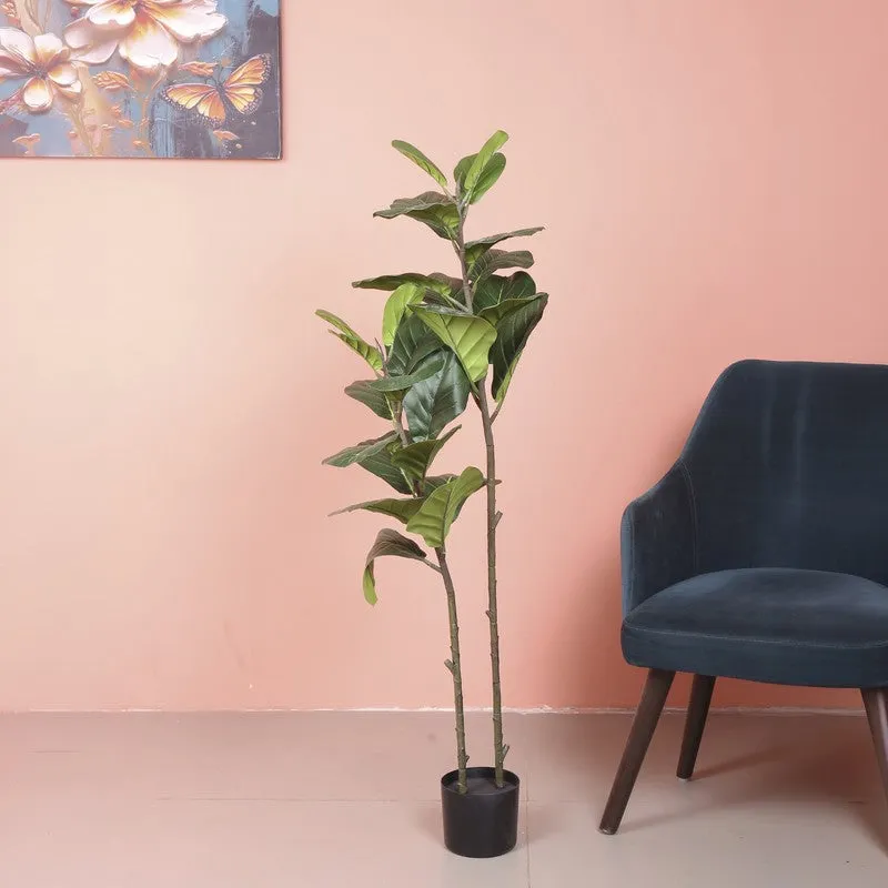Stylish Fiddle Leaf Fig Artificial Plant With Black Plastic Pot media 3