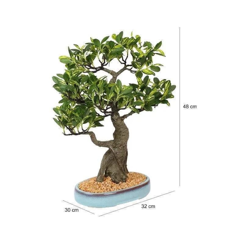 Faux Schefflera Bonsai In Tray Pot - 48 cms media 4