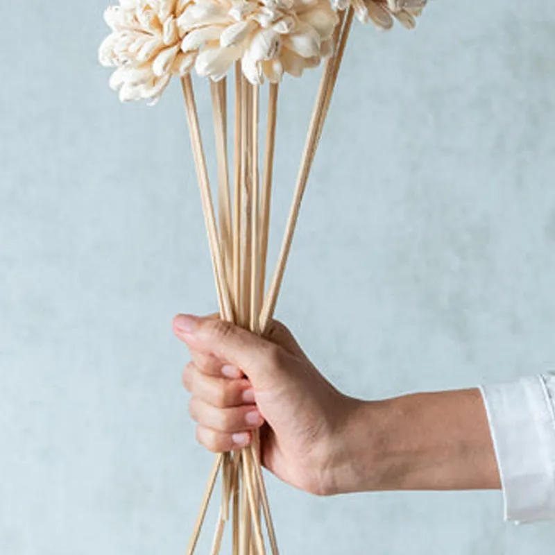 Close-up of white flower sticks gathered in a hand