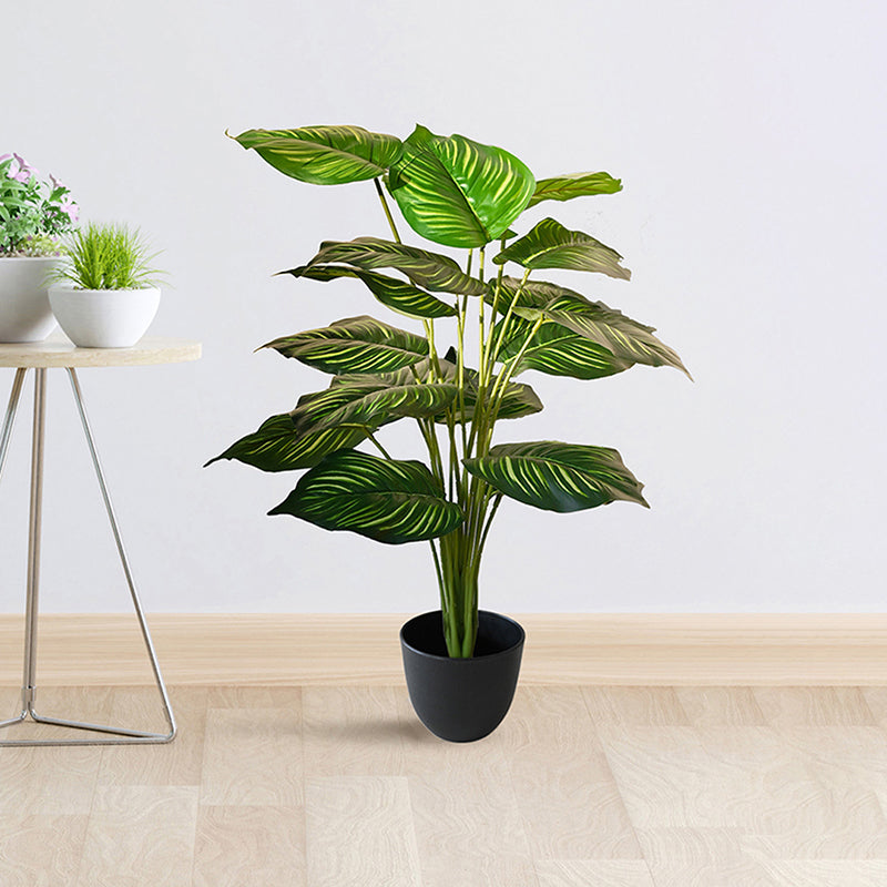Faux Everlasting Alocasia Plant With Black Plastic Pot - 74 cm (2.4 ft) media 3