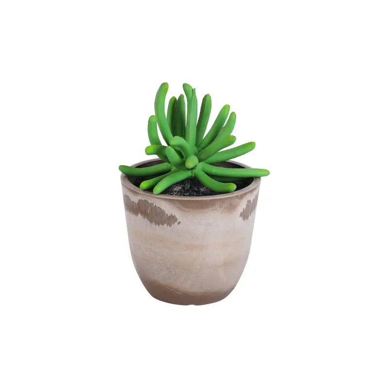 Artificial Mini Succulent With Pot - Set Of Three media 4