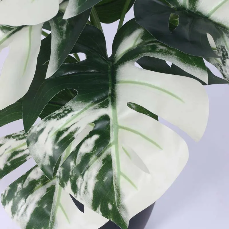 Faux Lush White Monstera Plant With Black Plastic Pot - 1.8 Feet media 5