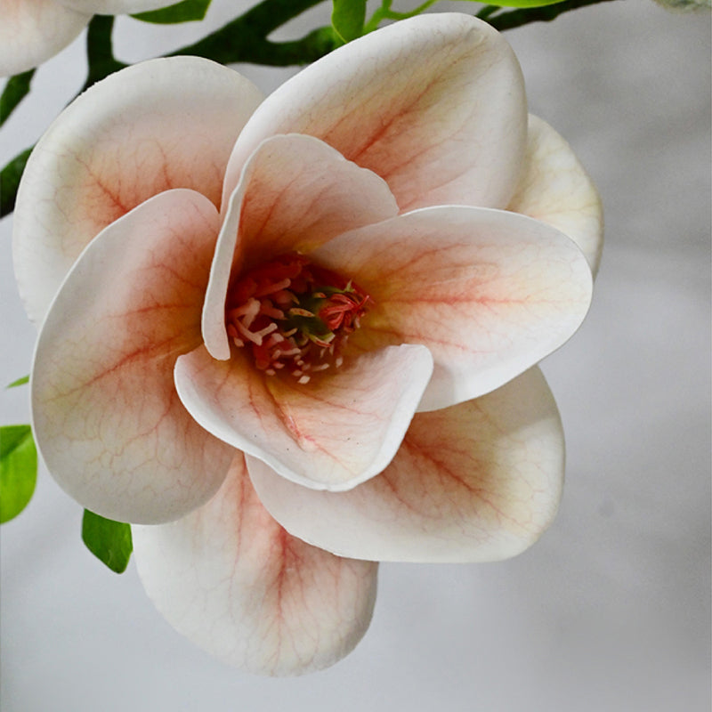 Artificial Decorative Magnolia Flower Stick - Peach media 6