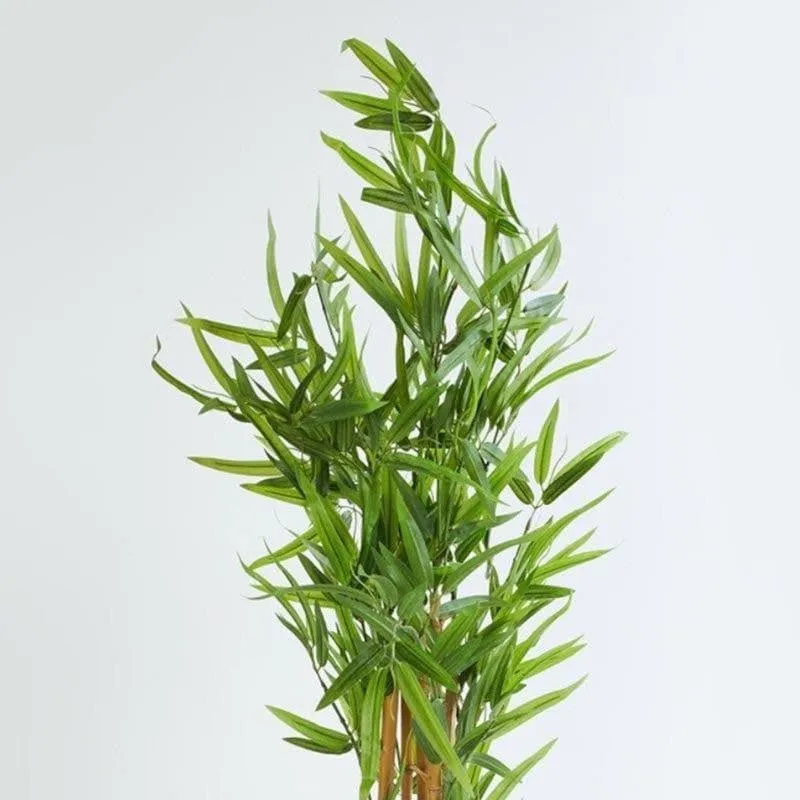 Faux Tall Bamboo Bonsai In Black Plastic Pot - 3.12 ft media 4