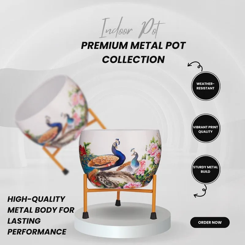 Peacock Pride Pots & Planters media 3