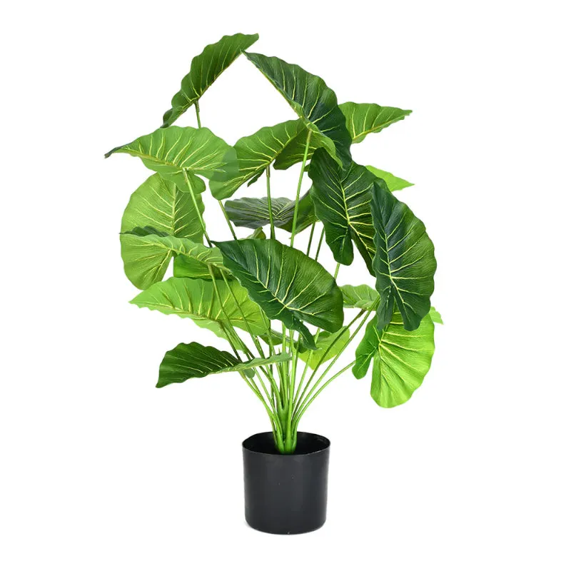 Faux Tropica Rubber Plant With Black Plastic Pot - 2.13 ft media 4