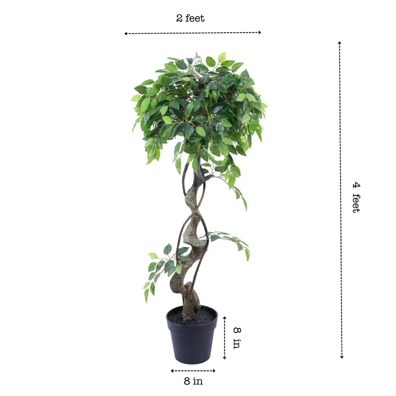 Artificial Realistic Ficus Bonsai With Black Plastic Pot - 3.9 Feet media 8