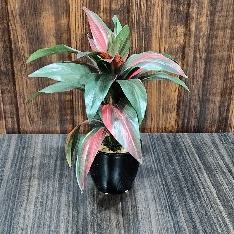 Faux Dracaena Bonsai (24 cms) - Red media 3