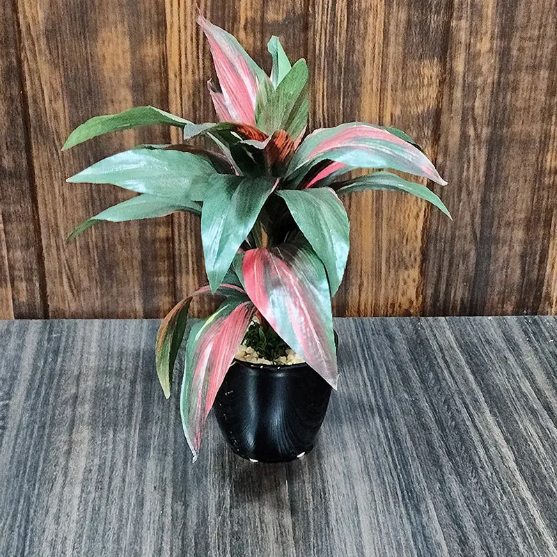 Faux Dracaena Bonsai (24 cms) - Red media 3