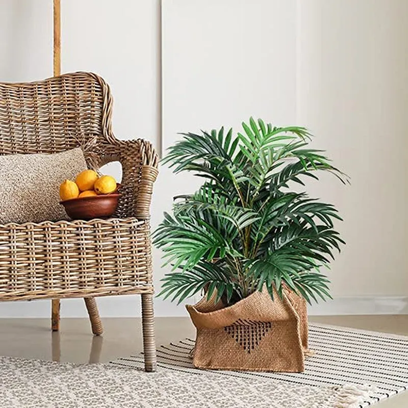 Faux Areca Prestoniana Plant - 2.4 Feet media 3