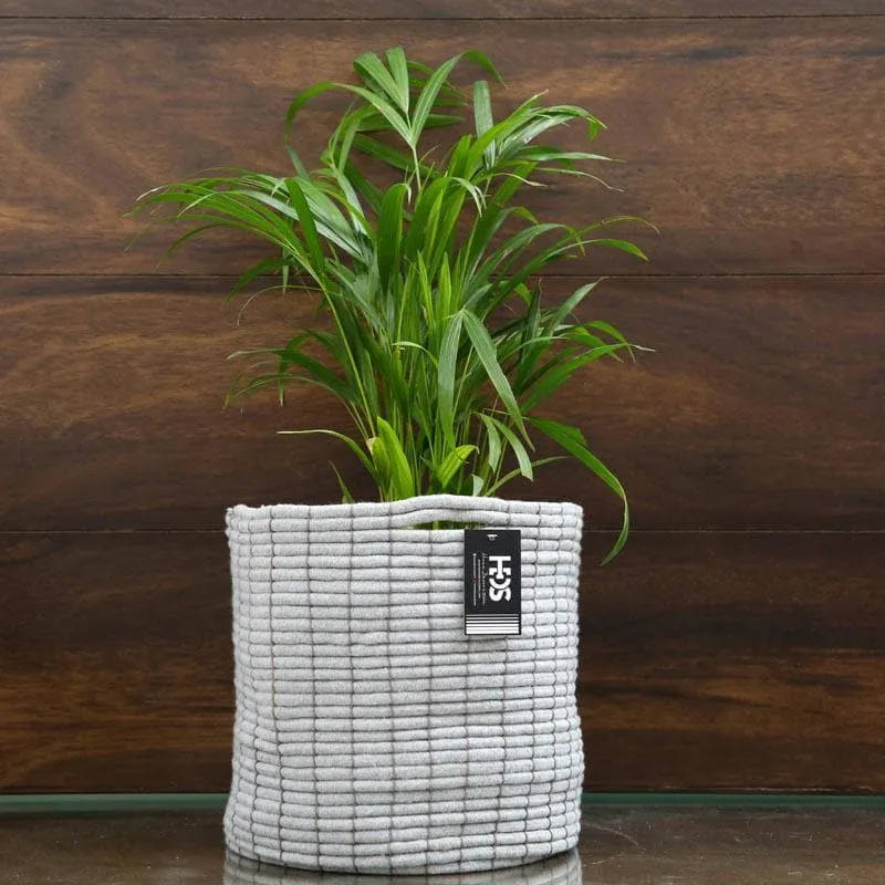 Coastal Escape Cotton Planter media 6
