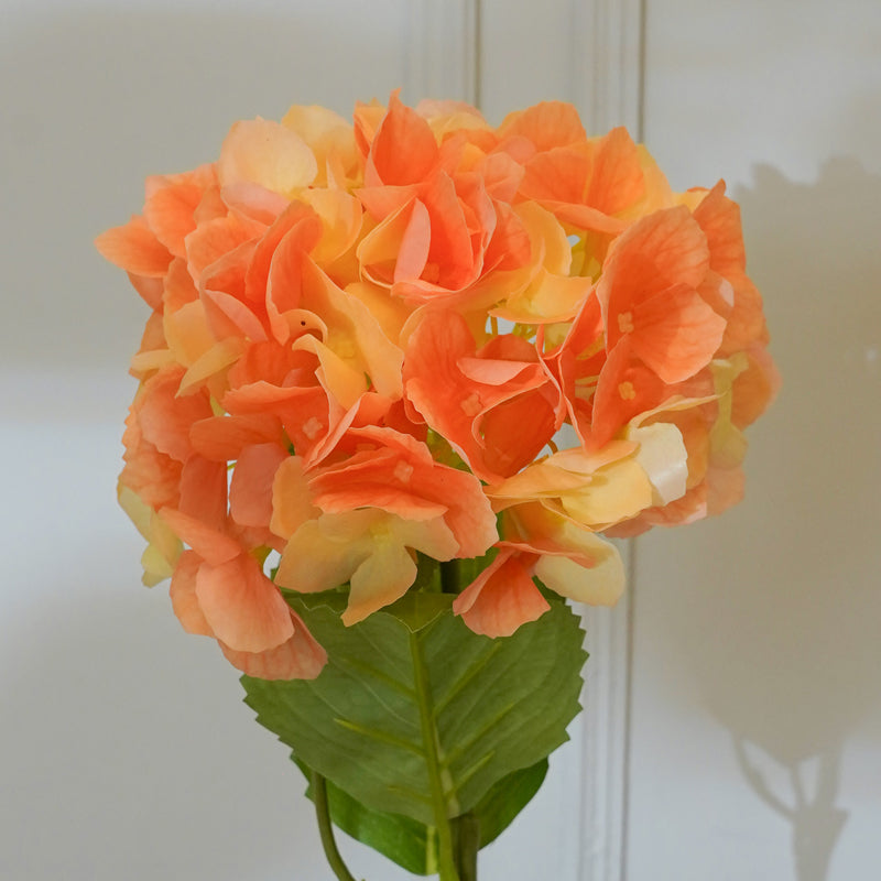 Faux Mountain Hydrangea (Orange) - 21 CM media 4