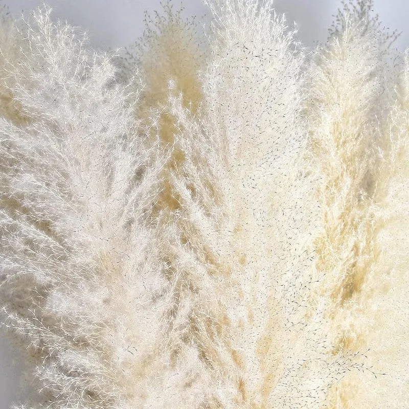 Artificial Rustic Pampas Grass - Set Of Five media 6