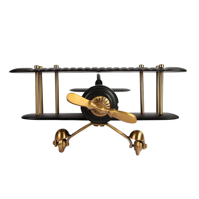 Raven Airplane Showpiece media 7