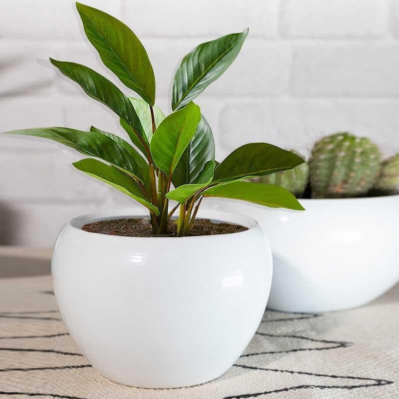 Whimsical White Planters - Set Of Two media 3