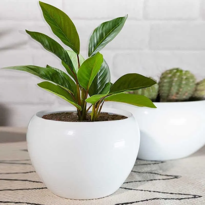 Whimsical White Planters - Set Of Two media 3