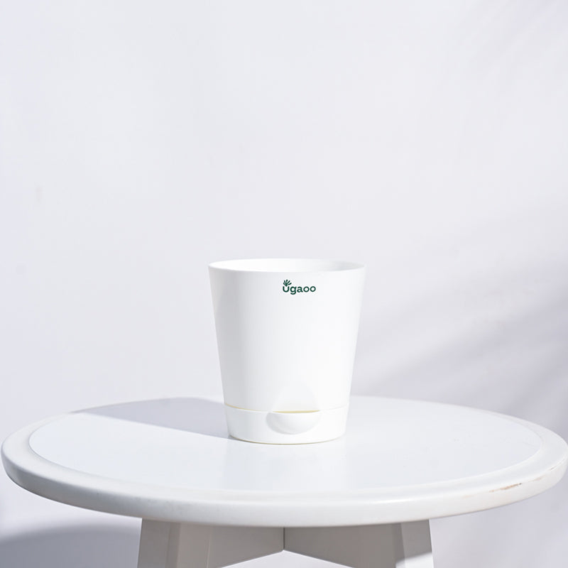 Ugaoo Bare Root Plastic Planter (White) - Set Of Five media 4