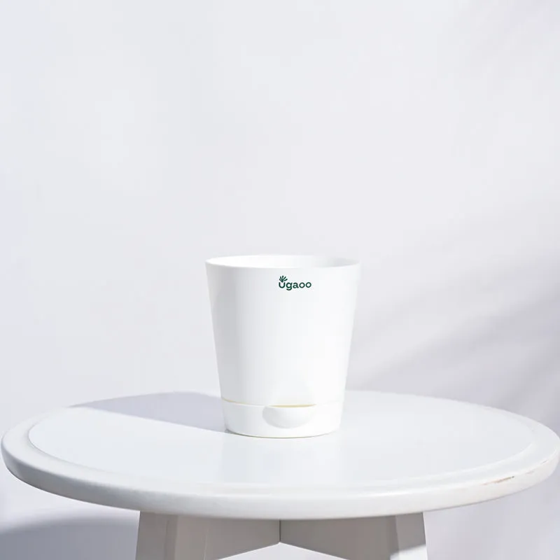 Single white planter on a round white table