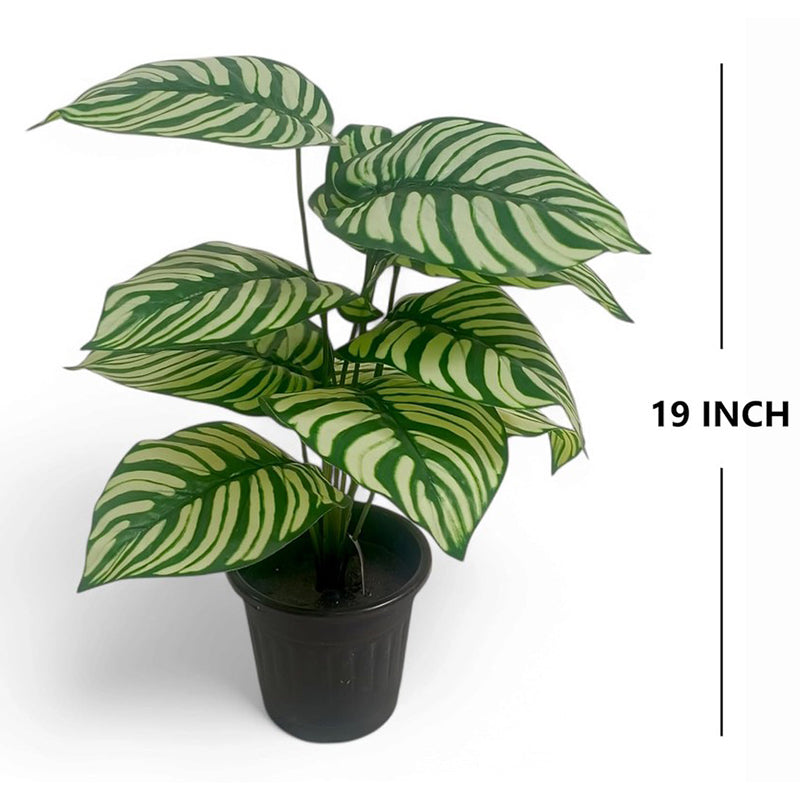 TerraLeaf Artificial Plant - 1.5 Feet media 6
