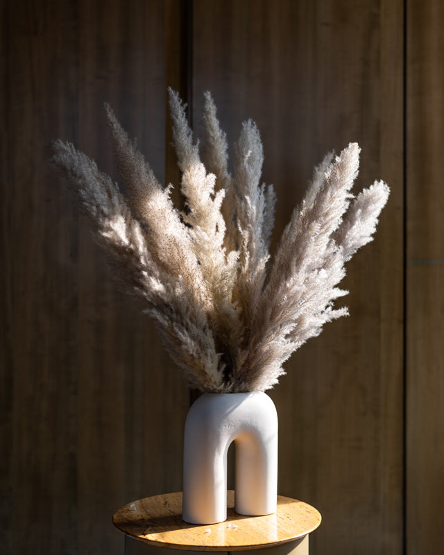 Sittora Glow Pampas Stick - Set Of Ten media 4