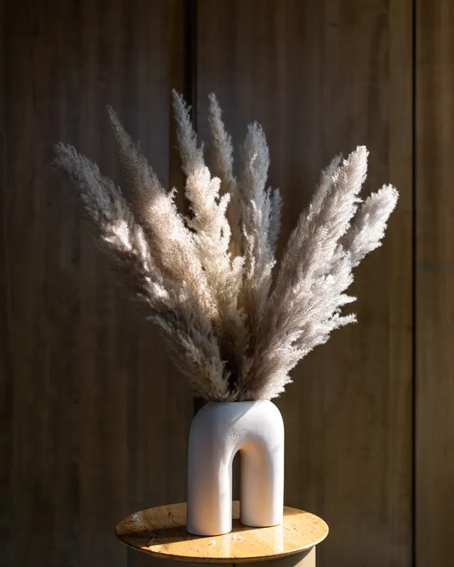Sittora Glow Pampas Stick - Set Of Ten media 4