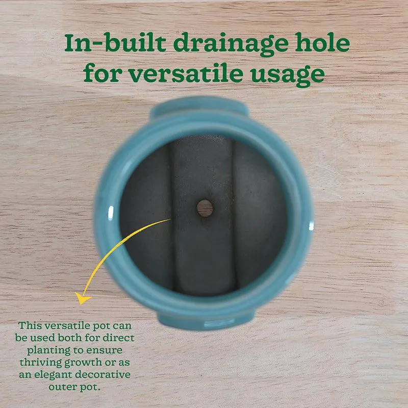 Ugaoo Minimalica Ceramic Planter - Green media 7