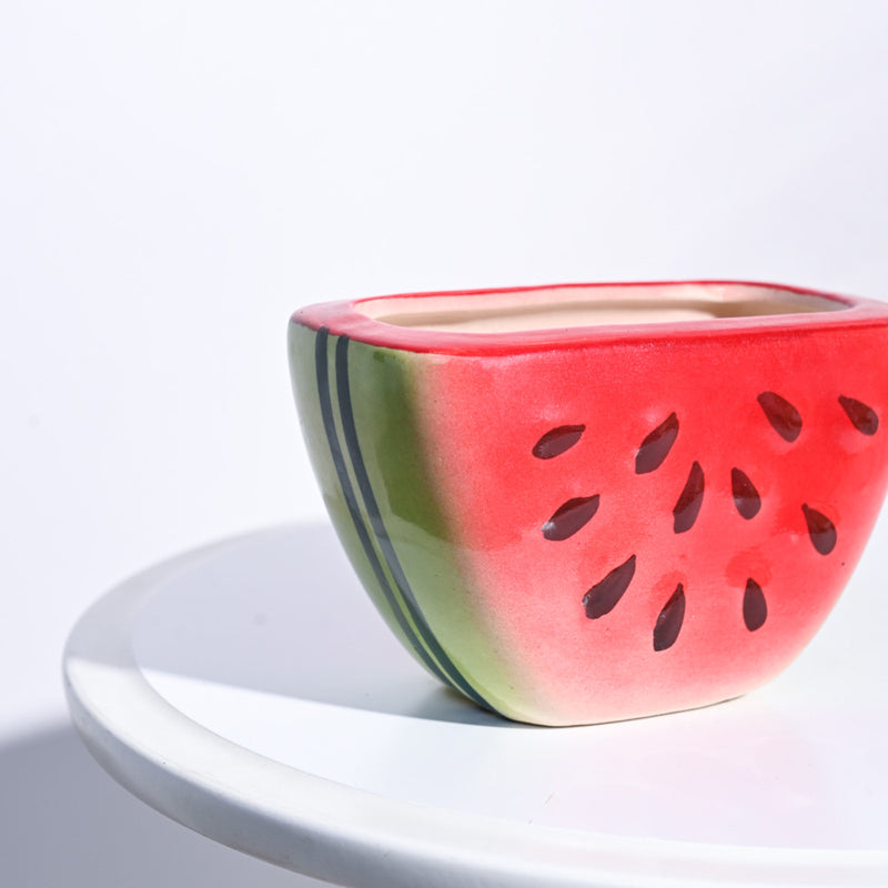 Ugaoo Watermelon Original Color Ceramic Planter media 4