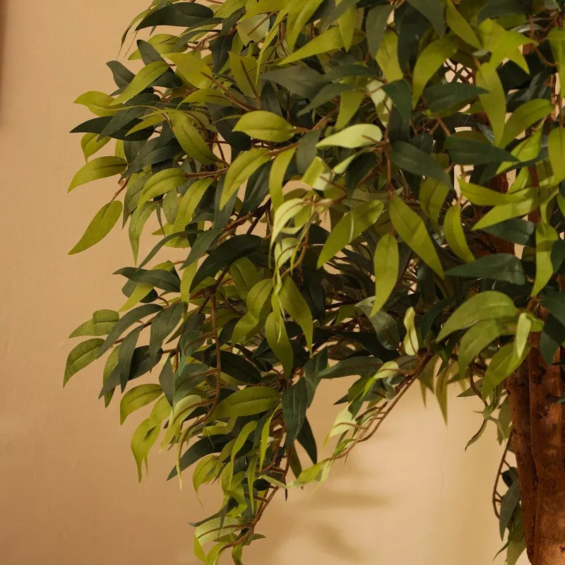 Artificial Ficus Bonsai Plant With Black Plastic Pot - 5.2 ft media 8